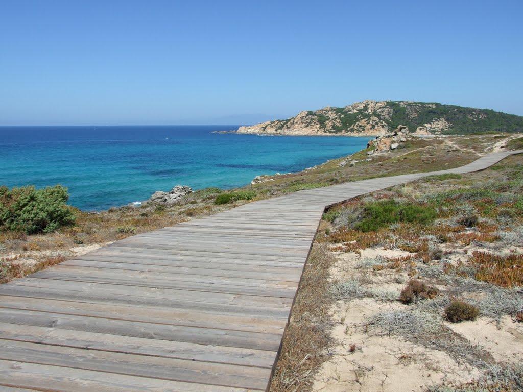 Main view