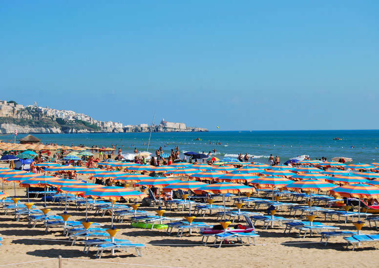 Gallery view 4